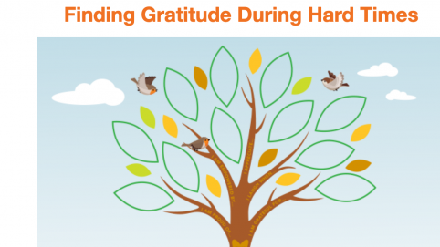 A stylized illustration of a tree with small birds and large outlines of leaves