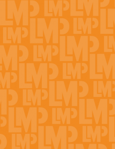 Orange with LMP logo all over